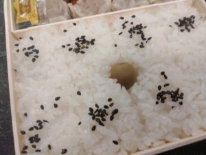 崎陽軒シウマイ弁当