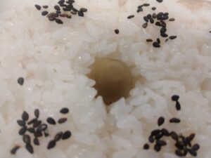 崎陽軒シウマイ弁当