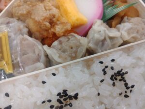 崎陽軒シウマイ弁当