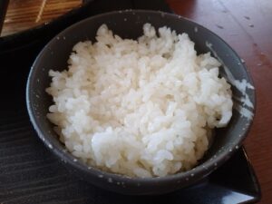 つけ汁カレーうどん