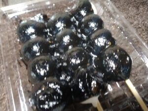 ごまだんご（木内製菓）
