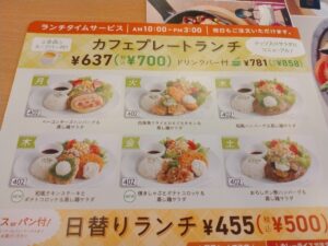 和風ハンバーグ&蒸し鶏サラダ