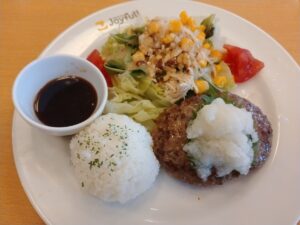和風ハンバーグ&蒸し鶏サラダ