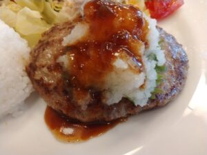 和風ハンバーグ&蒸し鶏サラダ