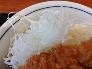 ソースかつ丼（梅）