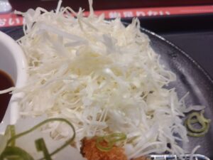 鬼おろしロースかつ定食